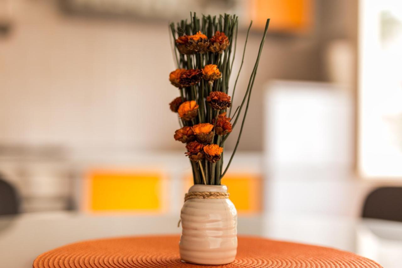 Apartmán Magi Zadar